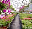 Photovoltaic Plant Management Solution in Italy